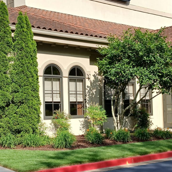 Common Area Cleanup