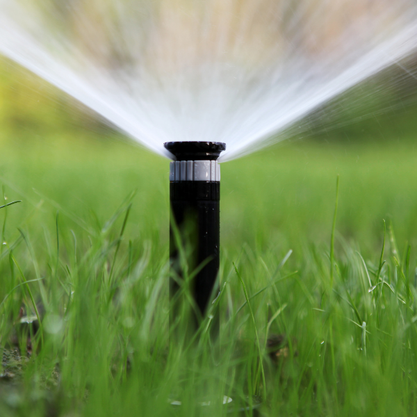 Irrigation Optimization