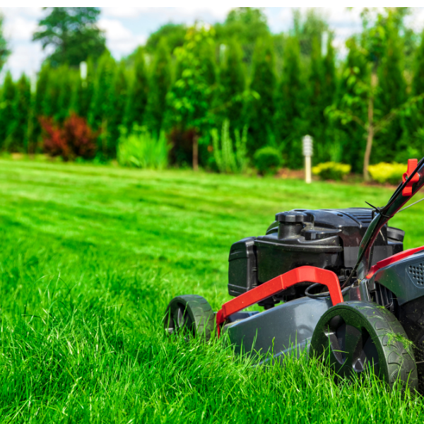Turf Care