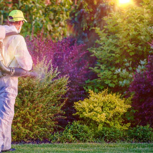 Weed & Pest Control
